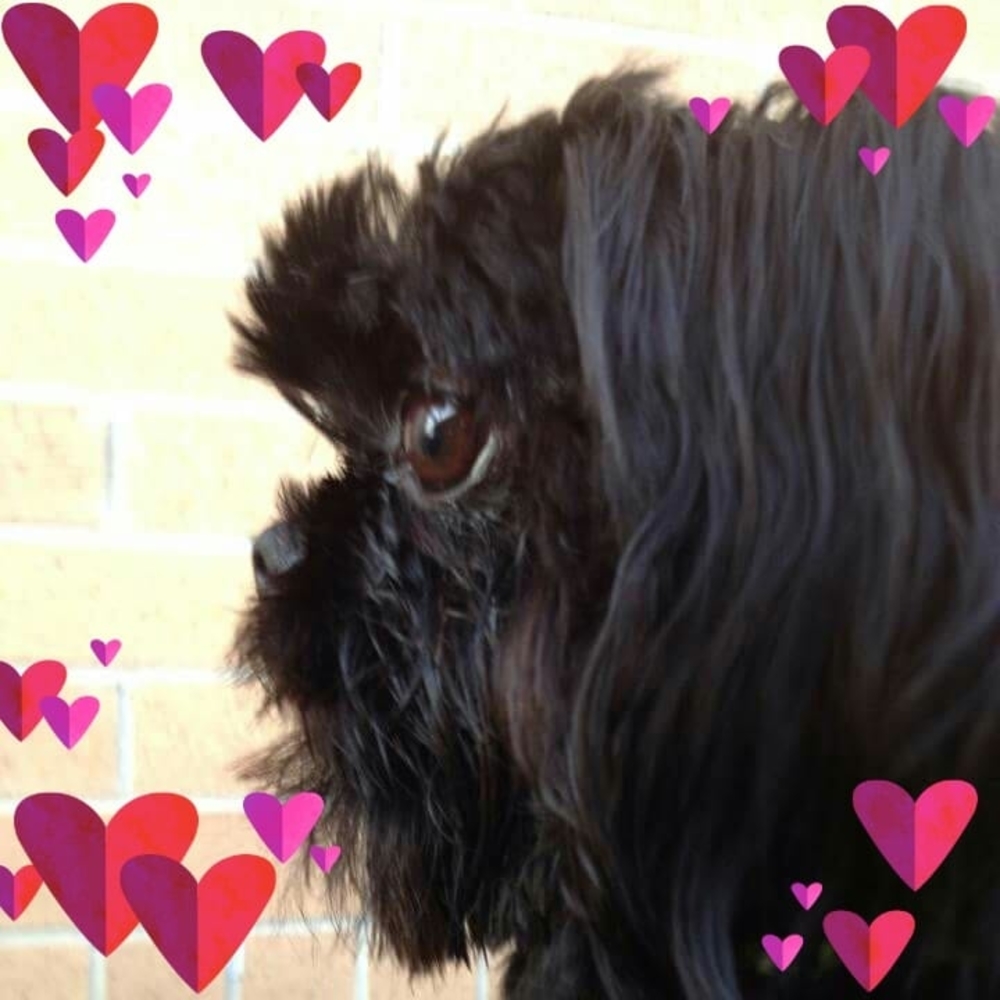 Meet your Posher, Pj